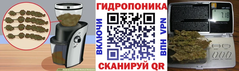 Купить где  Котельники  Cannafood конопля 